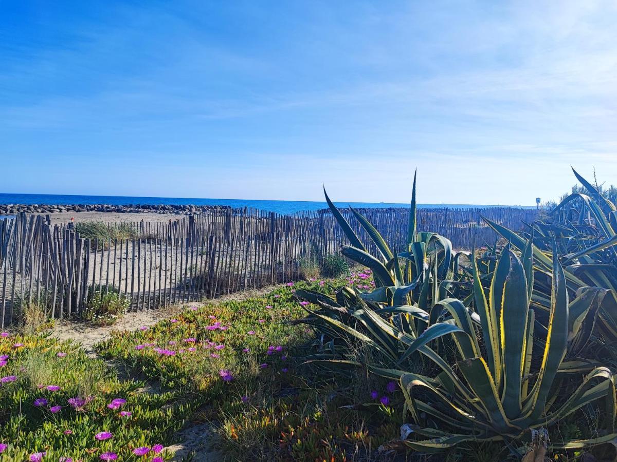 La Perle Bleue, 100 M De La Plage, Parking, Wifi Frontignan Kültér fotó